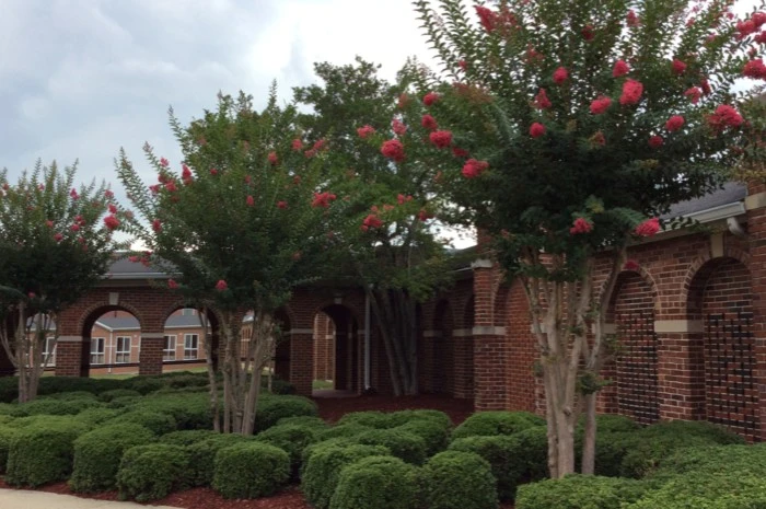 garden 44 1711662371